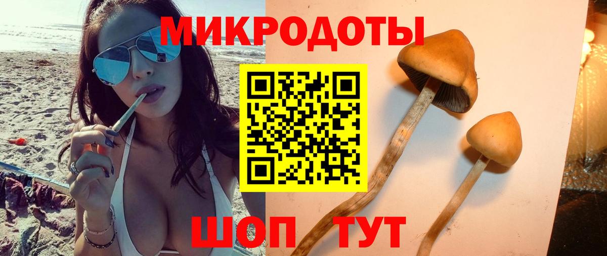 Галлюциногенные грибы мицелий Сызрань